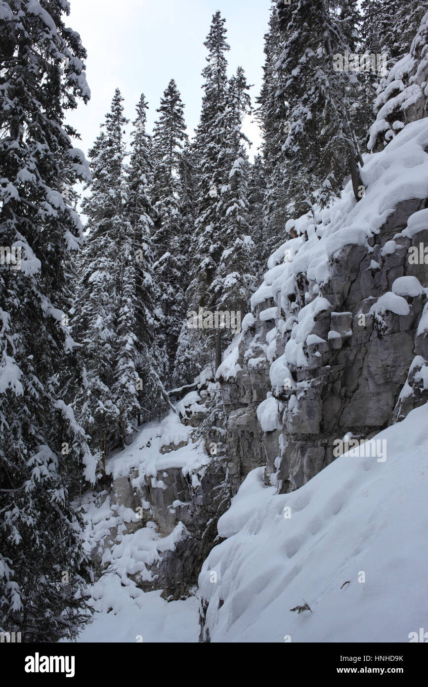 Winter in Johnston Canyon in Alberta Stock Photo