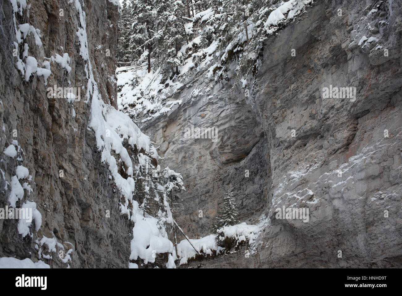 Rocks of Johnston Canyon in Alberta Stock Photo