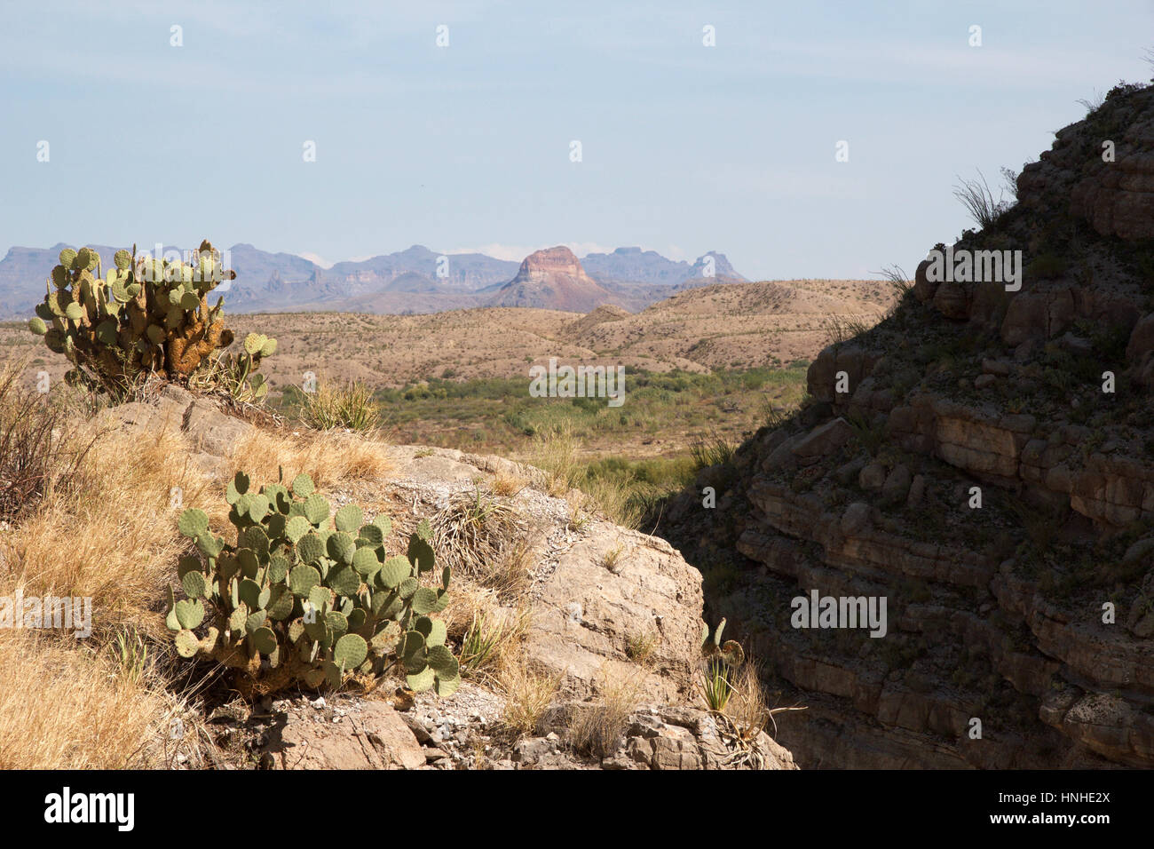 View from Santa Elena Canyon towards Kit Peak and the Chihuahan desert in Big Bend National Park, Texas Stock Photo