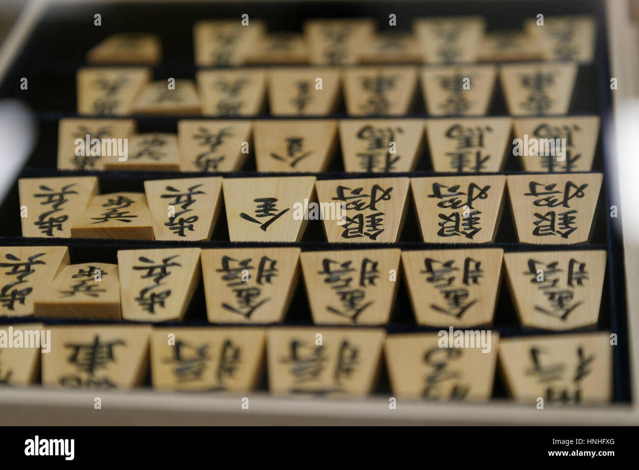 Shogi at