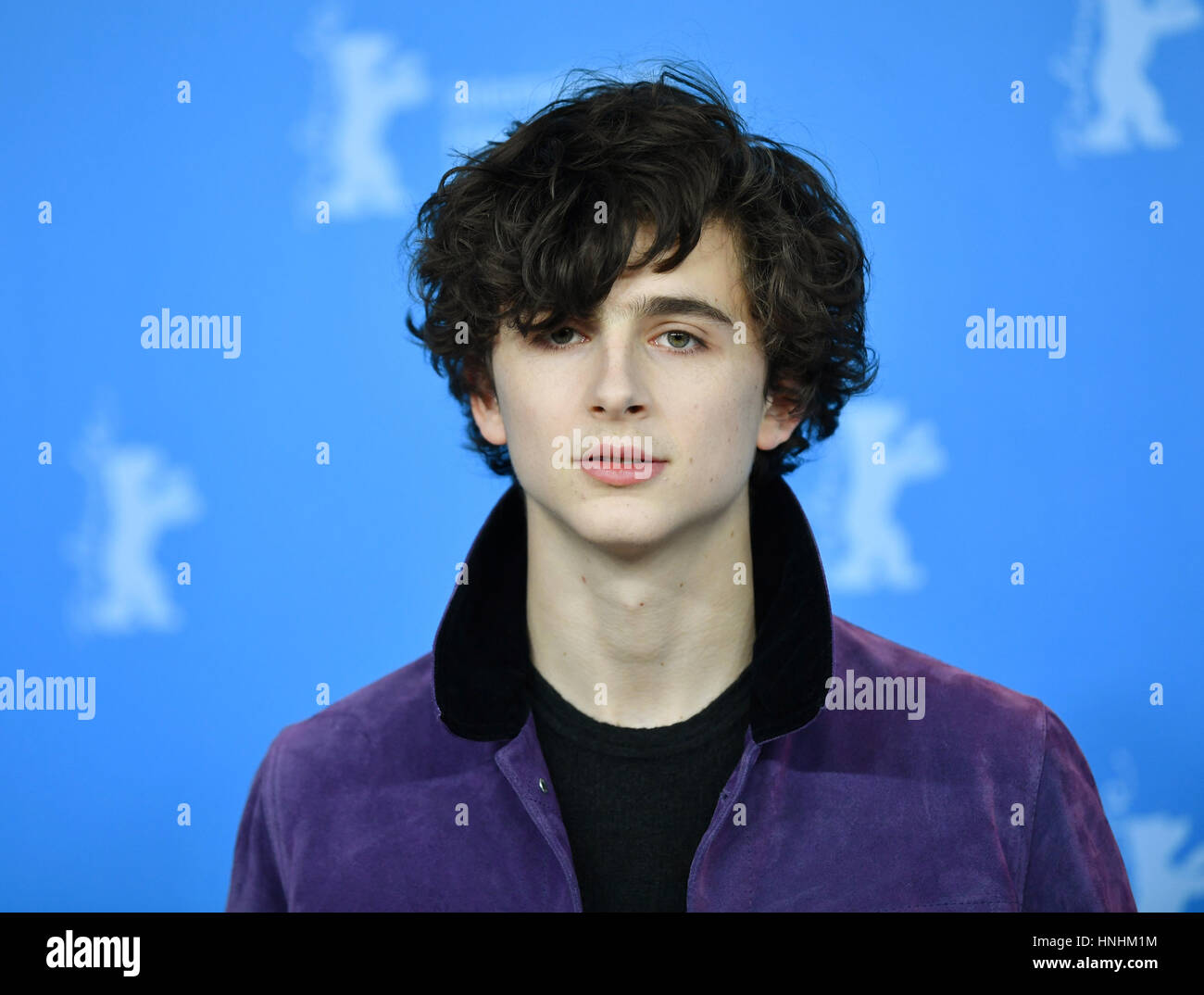 US-American actor Timothée Chalamet, photographed during the photo call for the movie 'Call me by Your name' during the 67th International Berlin Film Festival in Berlin, Germany, 13 February 2017. The movie runs in the Panorama special. Photo: Jens Kalaene/dpa-Zentralbild/dpa Stock Photo