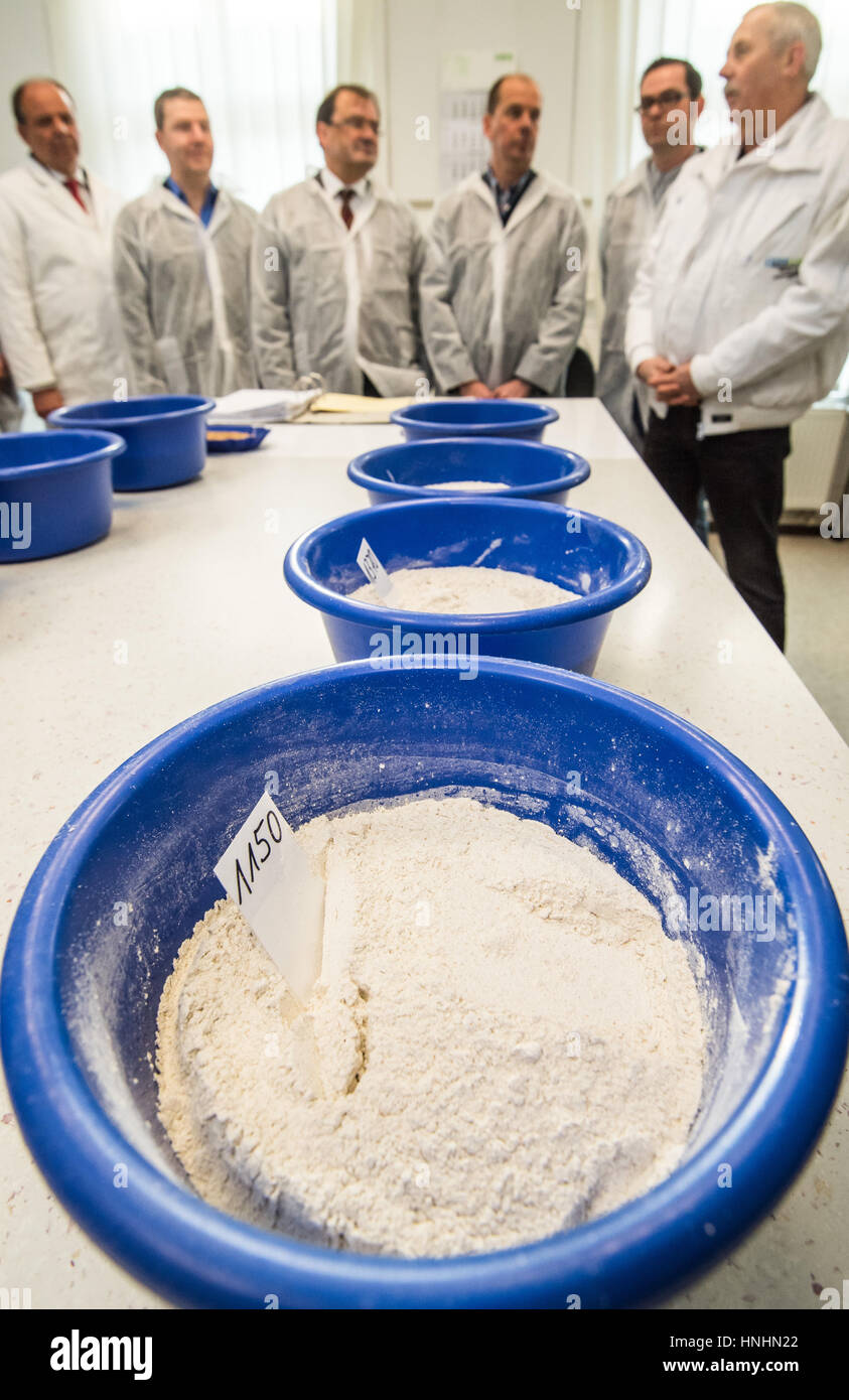 Muellrose, Germany. 13th Feb, 2017. Guests follow a press call for the