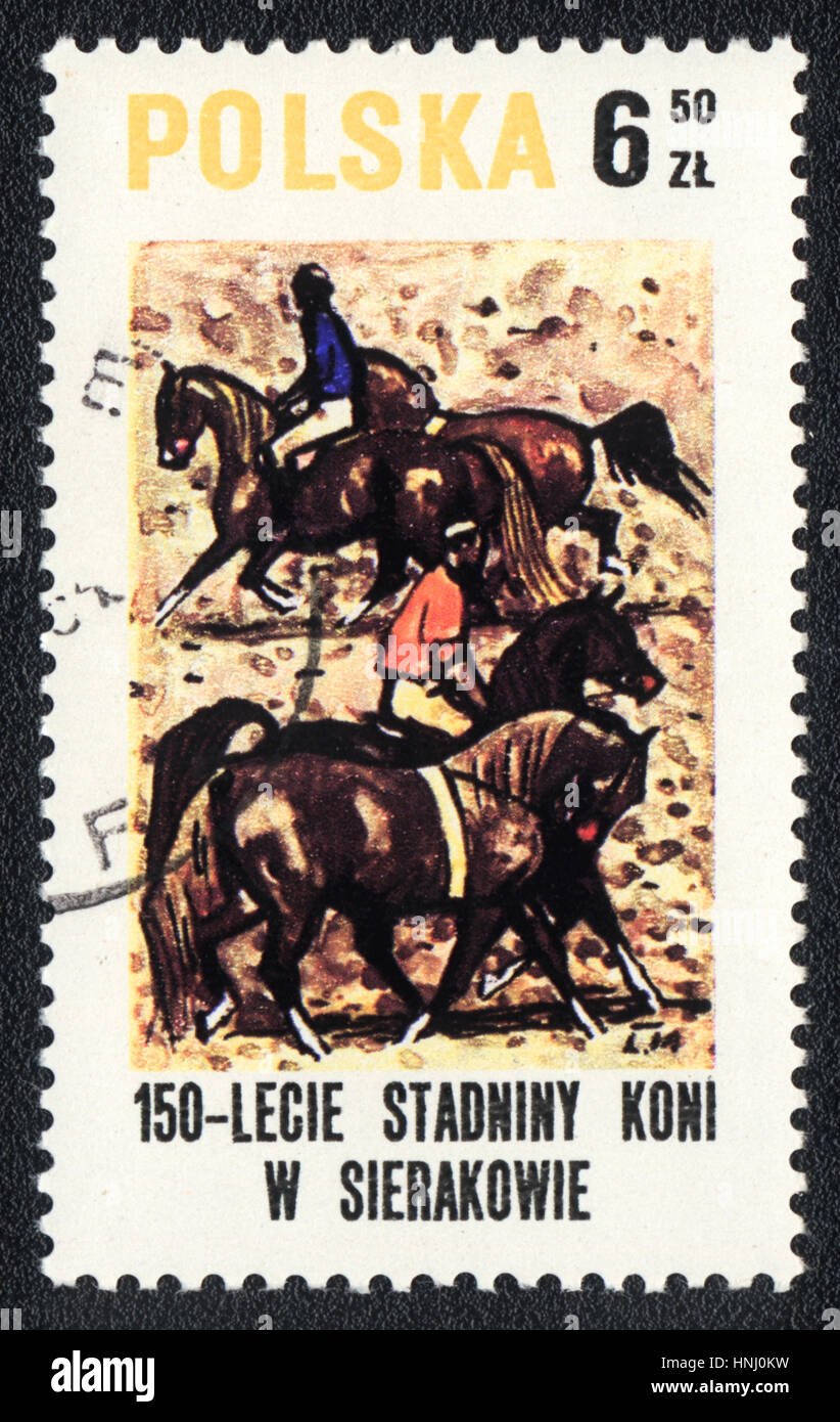 A postage stamp printed in Poland shows ariding , equestrianism,1980 Stock Photo