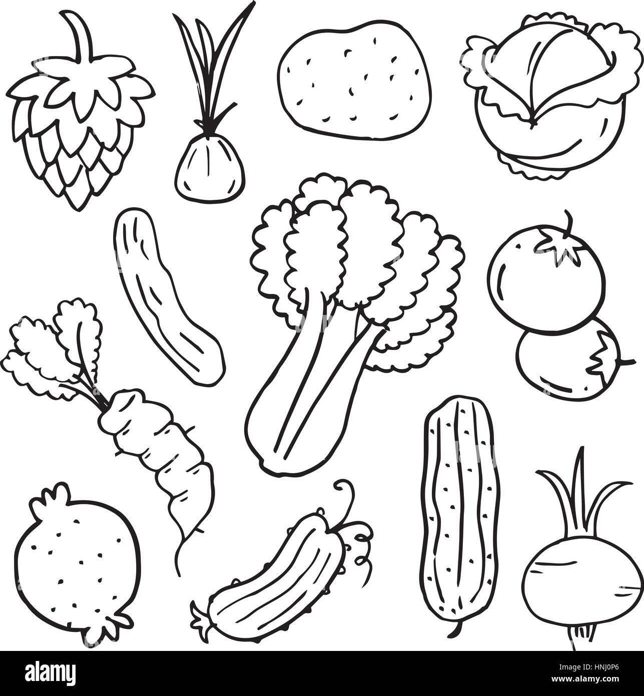 Doodle of vegetable set vector art hand draw Stock Vector Image & Art