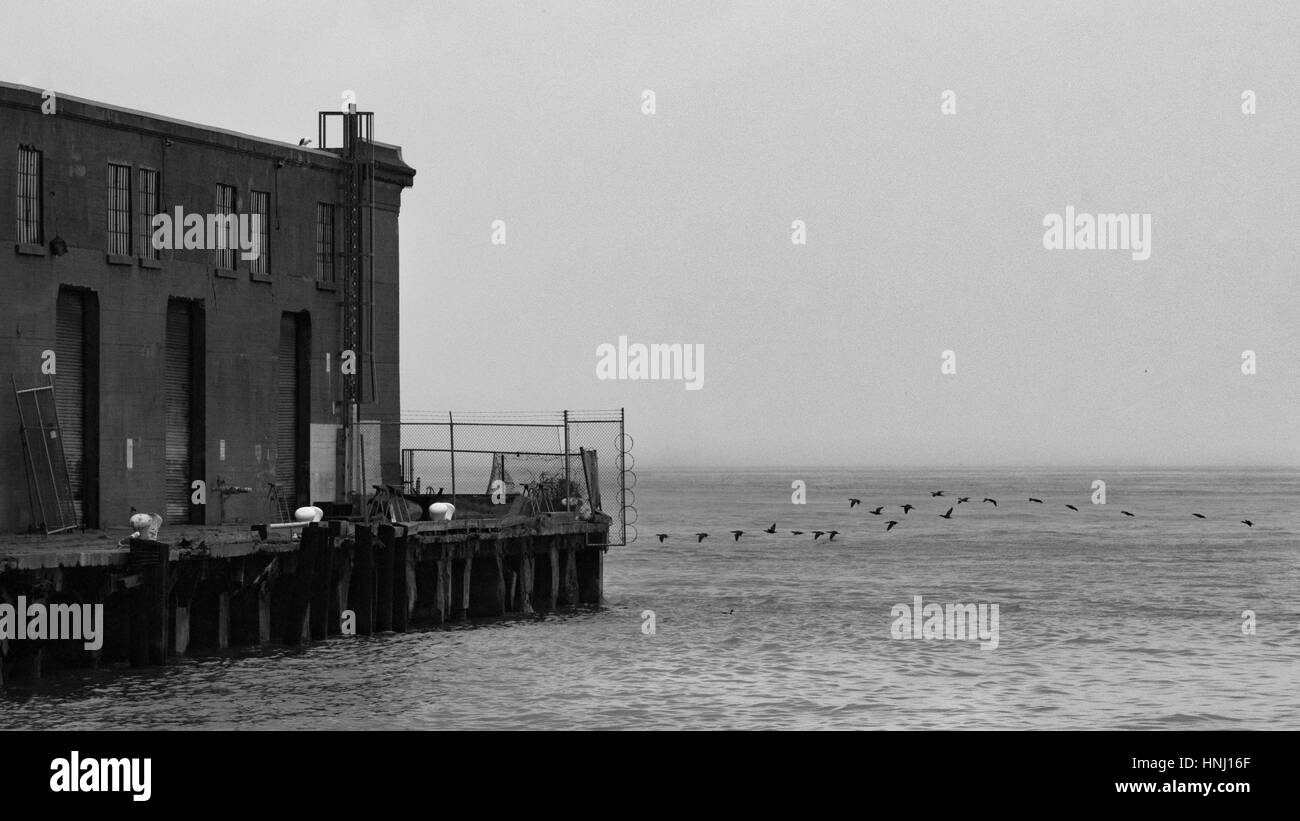As fog blankets the bay, birds fly low over the water past an old cargo warehouse pier in San Francisco Bay, California, USA Stock Photo