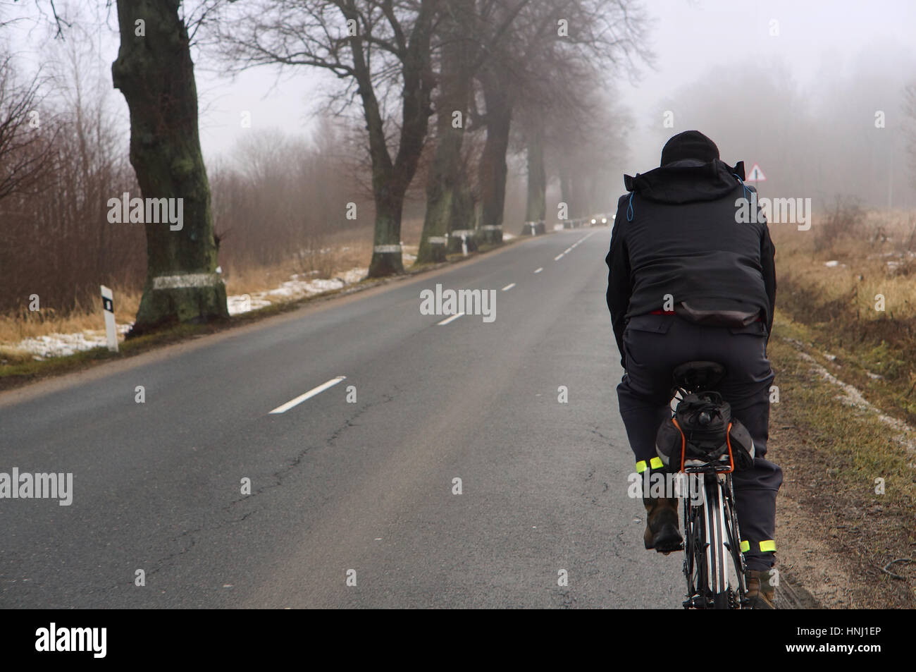 early morning road fog trees road autumn spring Stock Photo - Alamy