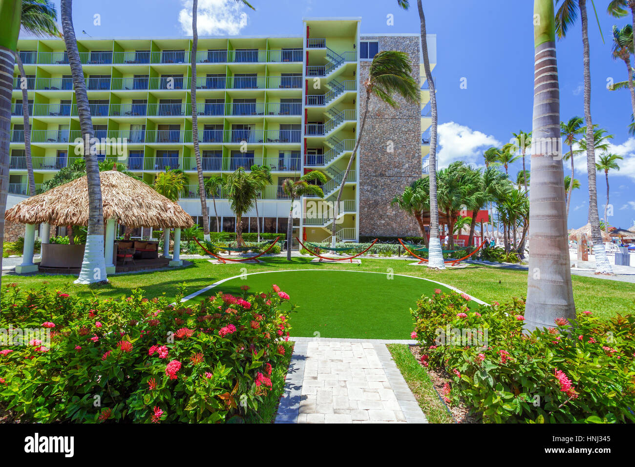 Walking path with palm trees at tropical beach in Aruba Stock Photo Alamy