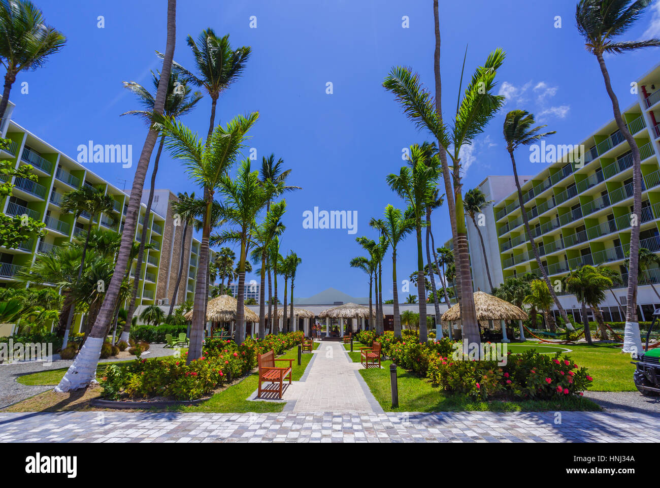 Walking path with palm trees at tropical beach in Aruba Stock Photo