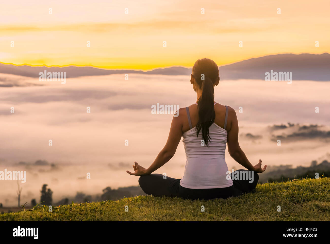 Indian woman sitting rear view hi-res stock photography and images - Alamy
