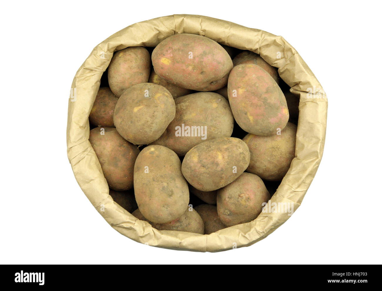 Paper sack of unwashed maincrop potatoes, variety Red Mozart. Isolated