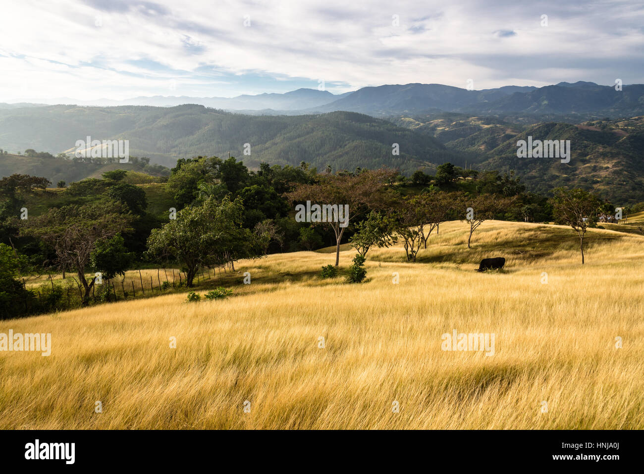 Valley around San Jose de las Matas, Dominican Republic Stock Photo Alamy