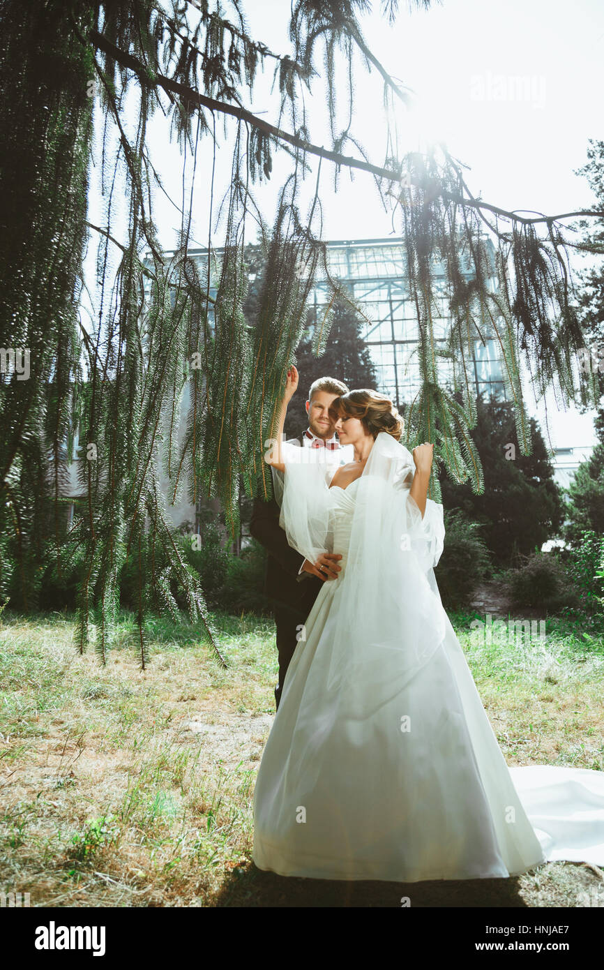 Bride groom standing under tree hi-res stock photography and images - Alamy