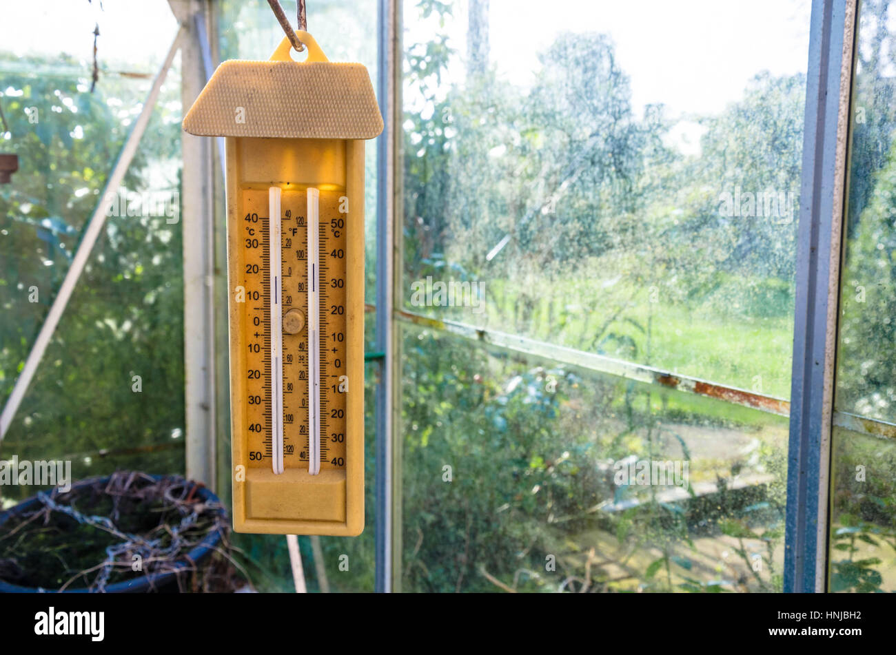 Digital Max Min Greenhouse Thermometer - Max Min Thermometer to Measure  Maximum and Minimum Temperatures in a Greenhouse
