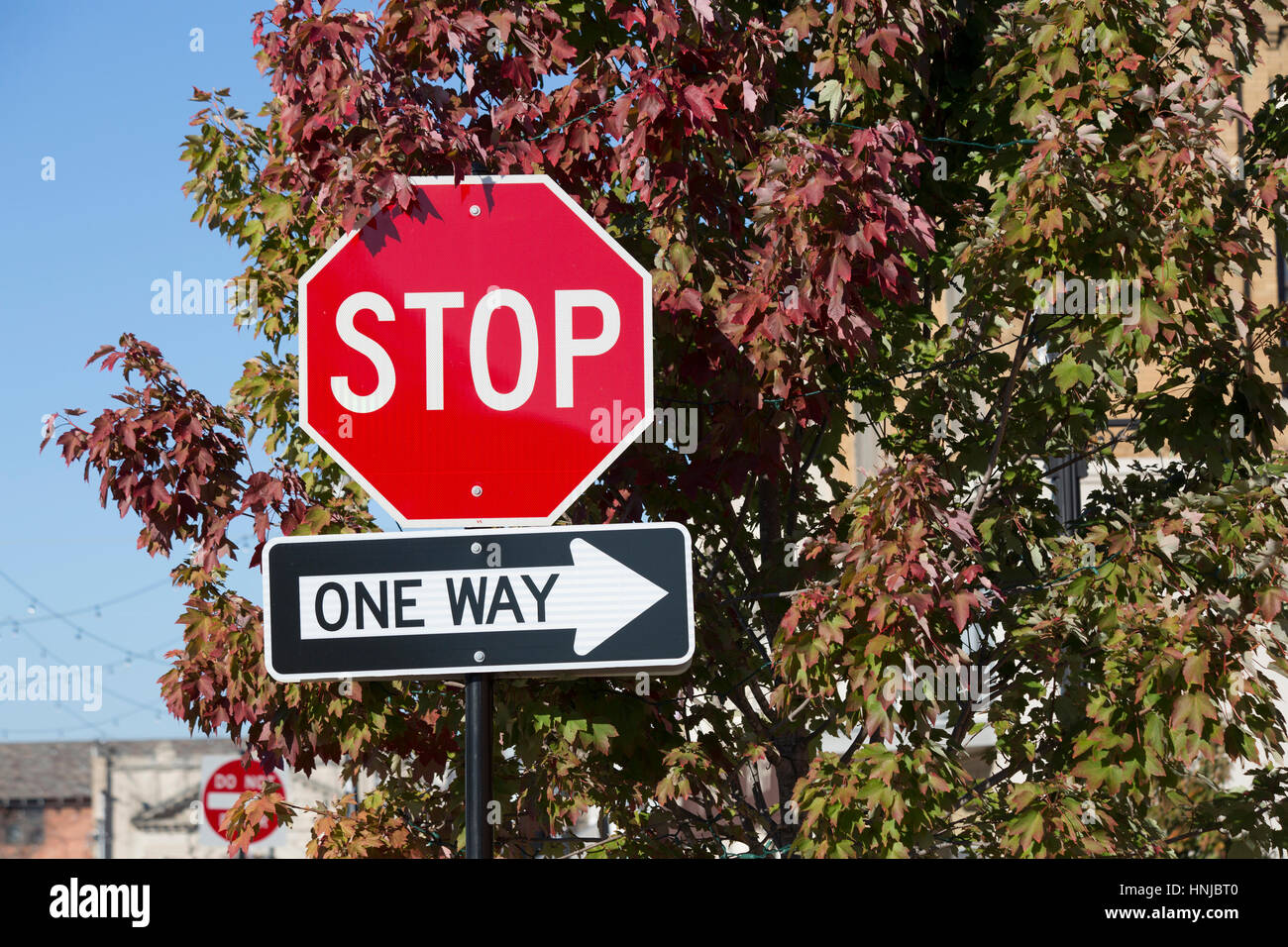 No one is outdoors tree tree tourism hi-res stock photography and ...