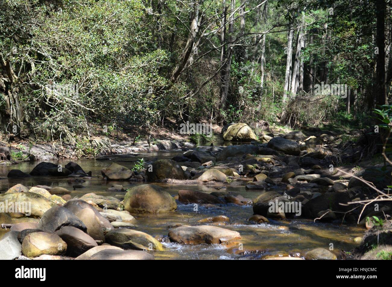 Dappled sunlight on river and river rocks Australian bush Stock Photo