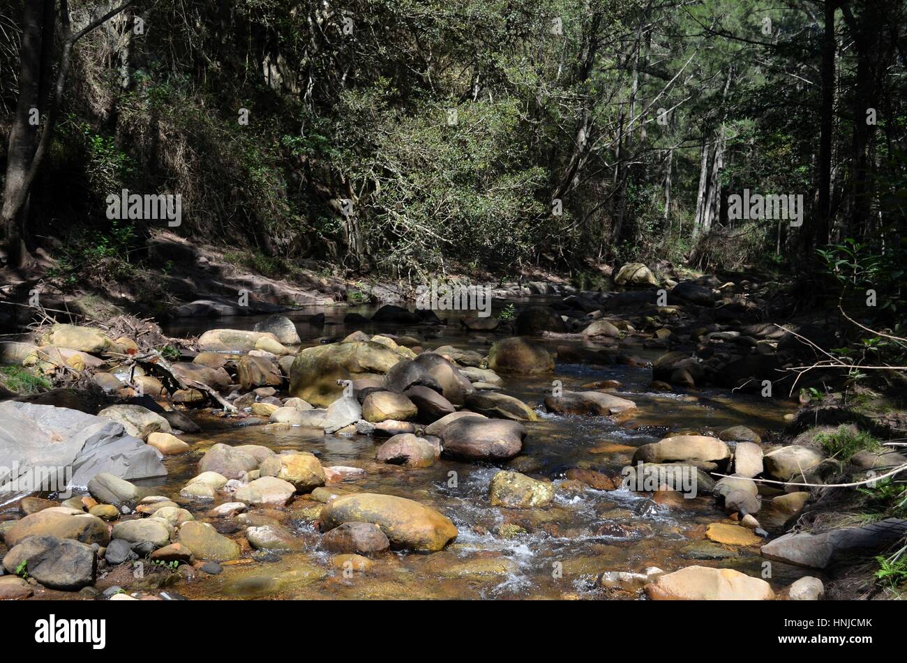 Dappled sunlight on river and river rocks Australian bush Stock Photo