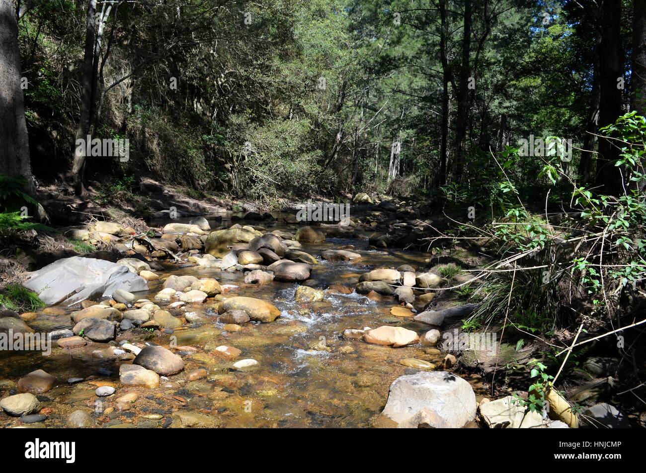 Dappled sunlight on river and river rocks Australian bush Stock Photo