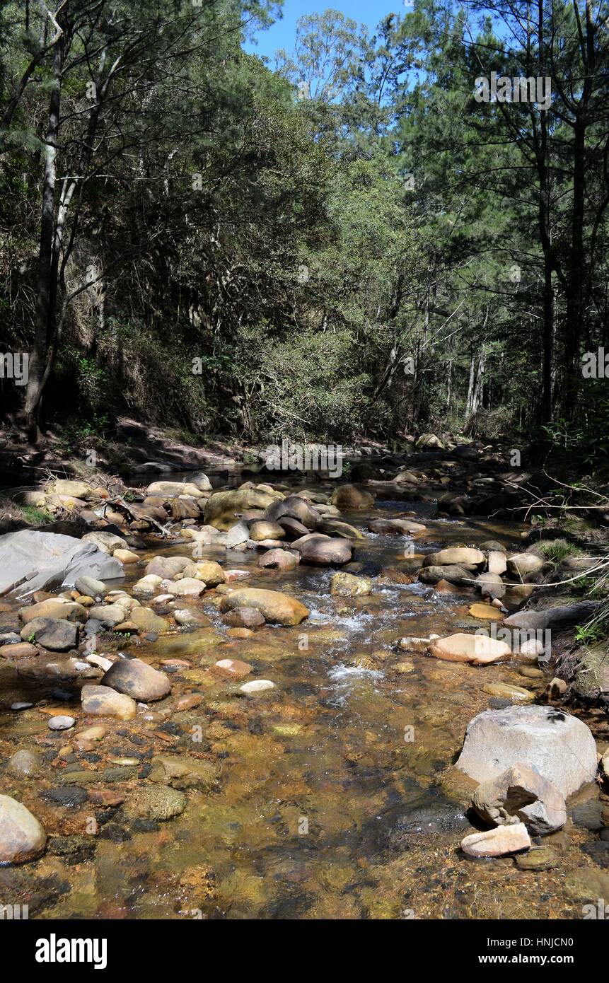 Dappled sunlight on river and river rocks Australian bush Stock Photo
