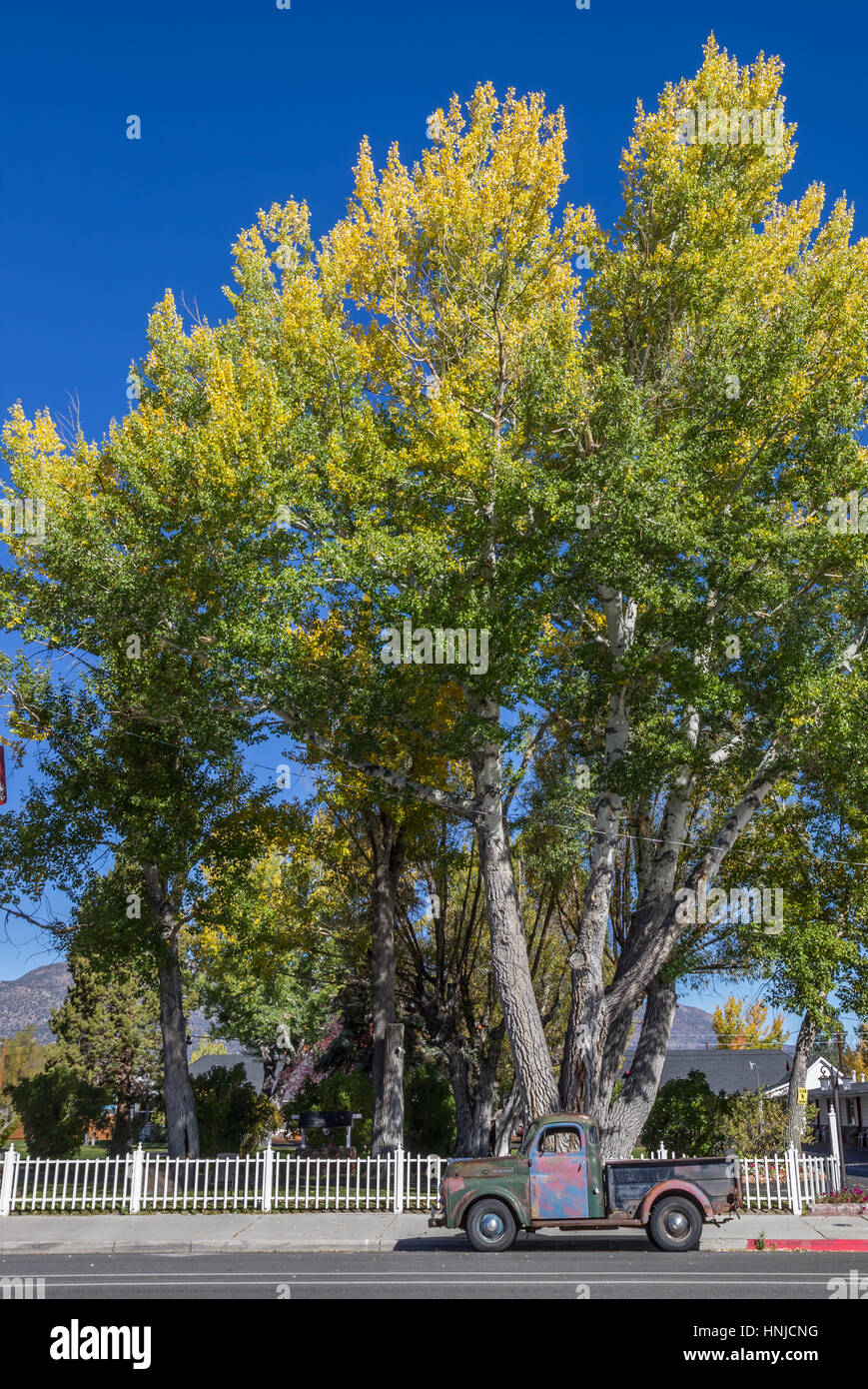 Classic car and fall colors in Bridgeport, California, America Stock