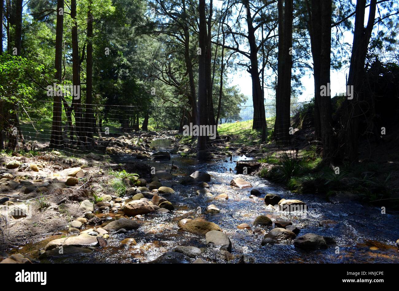 Wire fence looking very out of place in glorious river setting Australia Stock Photo