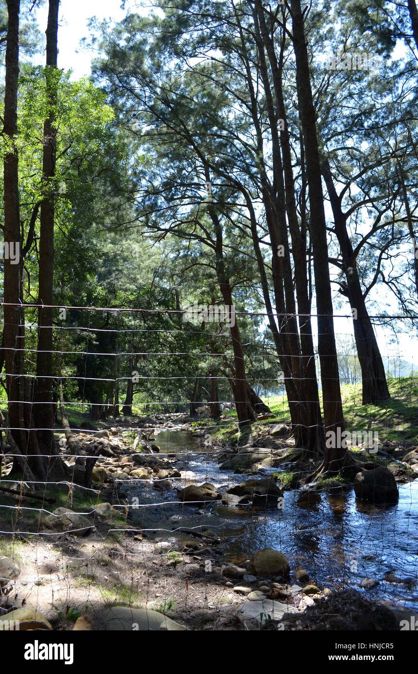 Wire fence looking very out of place in glorious river setting Australia Stock Photo