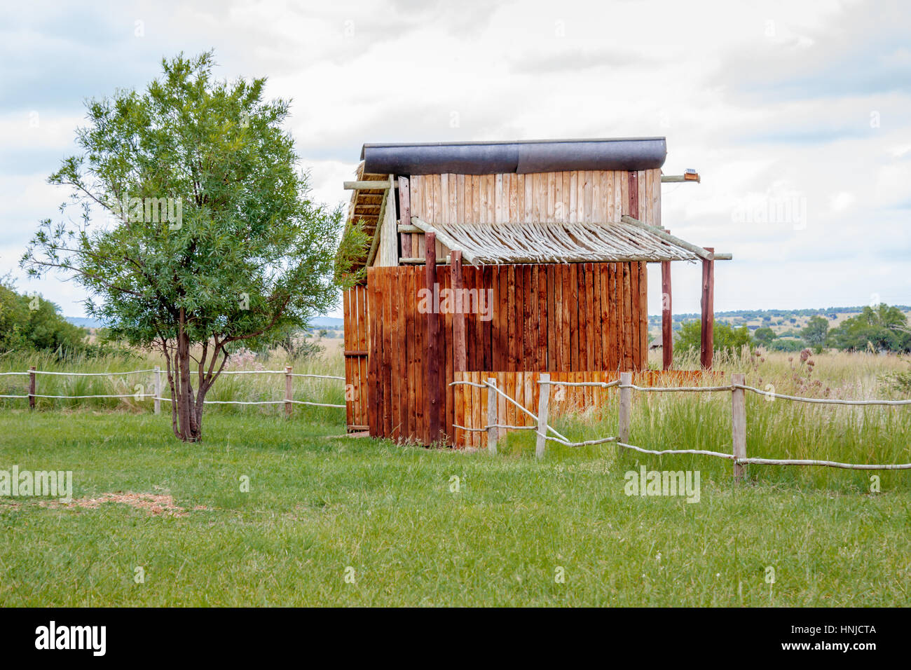 Shed in the woods Stock Photo Alamy