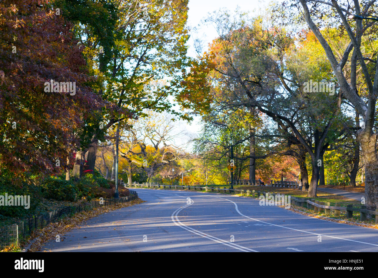 The outer park drive loop is a 6 mi road in Central Park Stock Photo