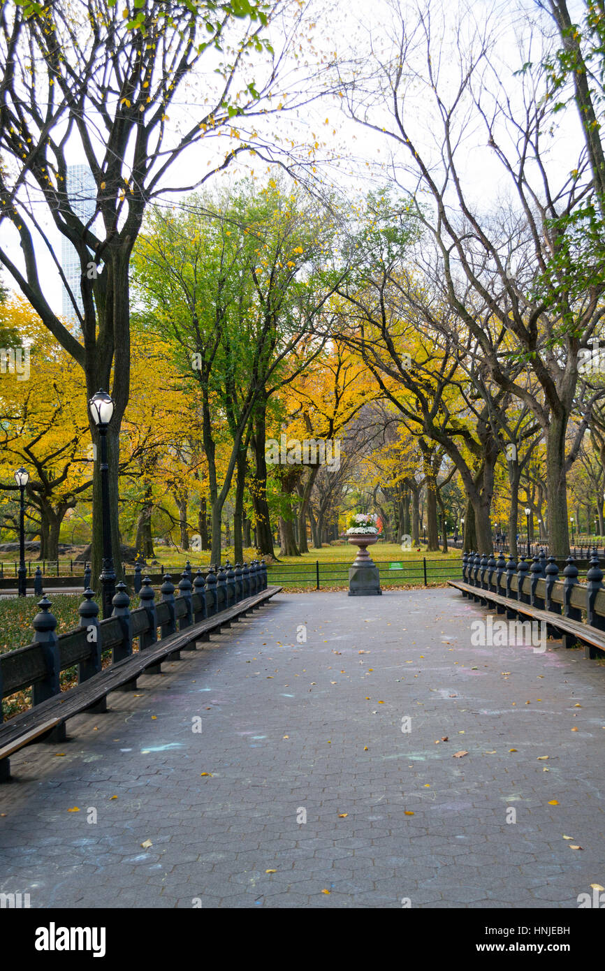 The Mall and Literary Walk in Central Park contains one of the bigest and last remains of American Elms Stock Photo