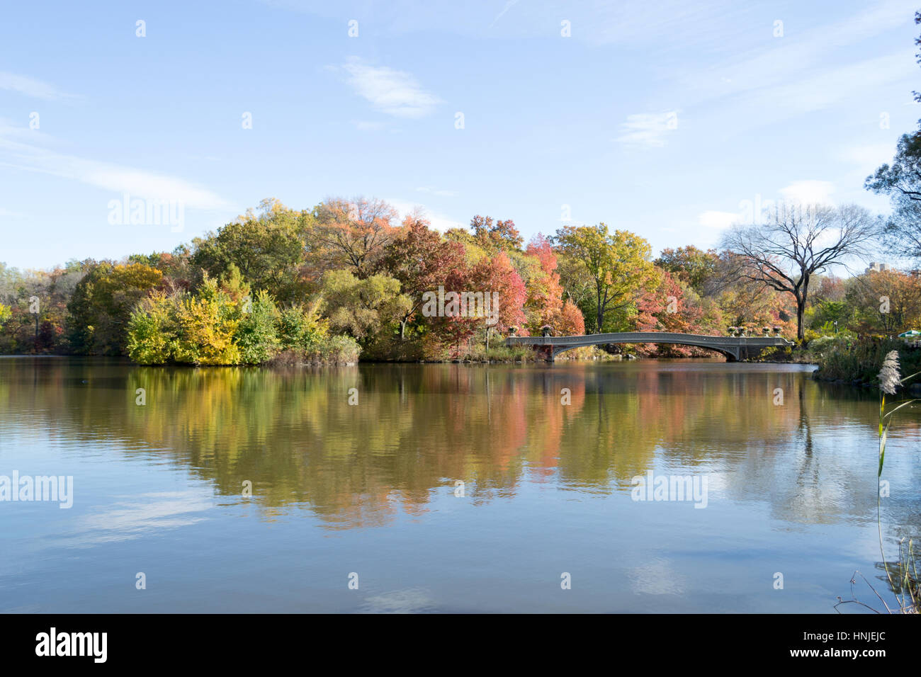 Bow bridge is the longest bridge in Central Park and its appearance ...