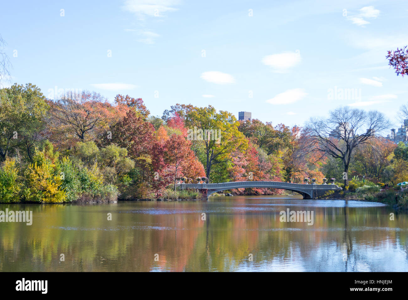 Bow bridge is the longest bridge in Central Park and its appearance ...