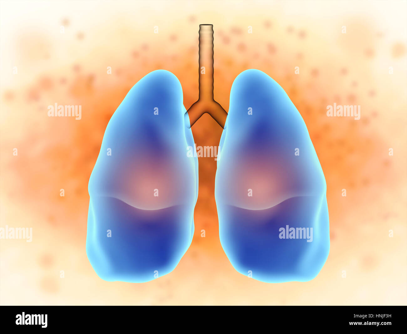 Emphysema lungs hires stock photography and images Alamy