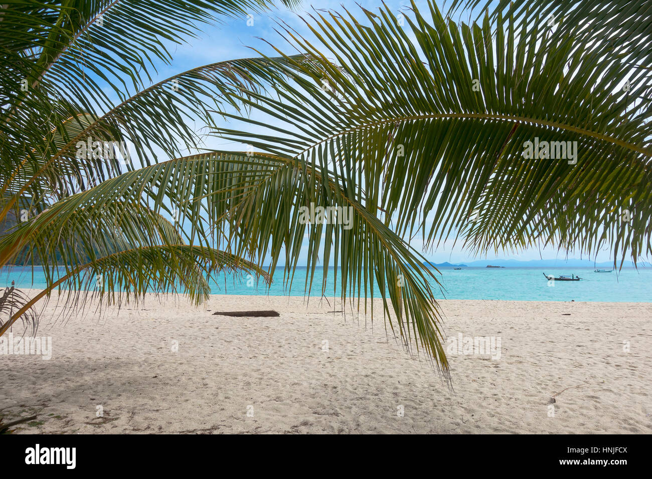 Palm leaves and white sand beach - tropical background Stock Photo - Alamy