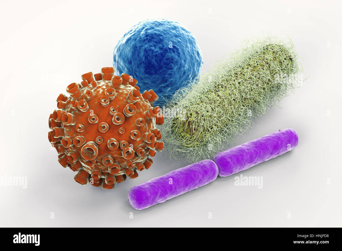 3d rendering virus and bacteria cells on white background Stock Photo