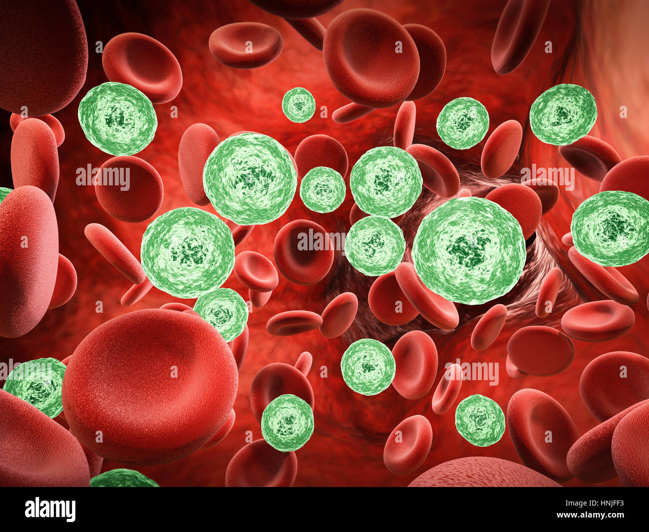 Bacterium Blood Infection Hi Res Stock Photography And Images Alamy