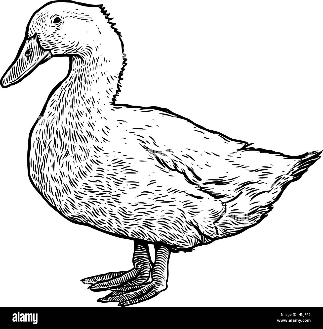 simple duck line drawing