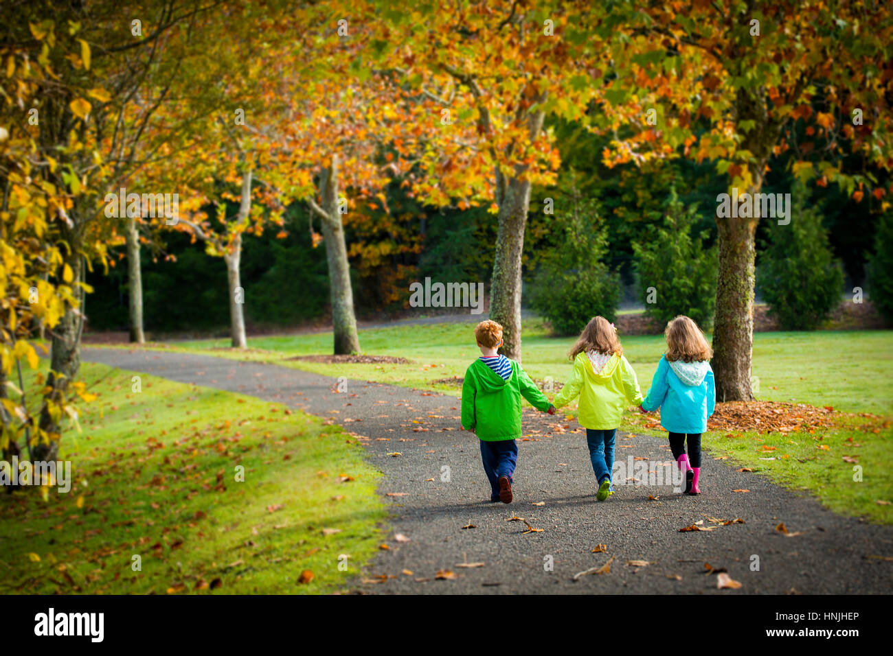 triplets children walking on pathway in fall setting Stock Photo