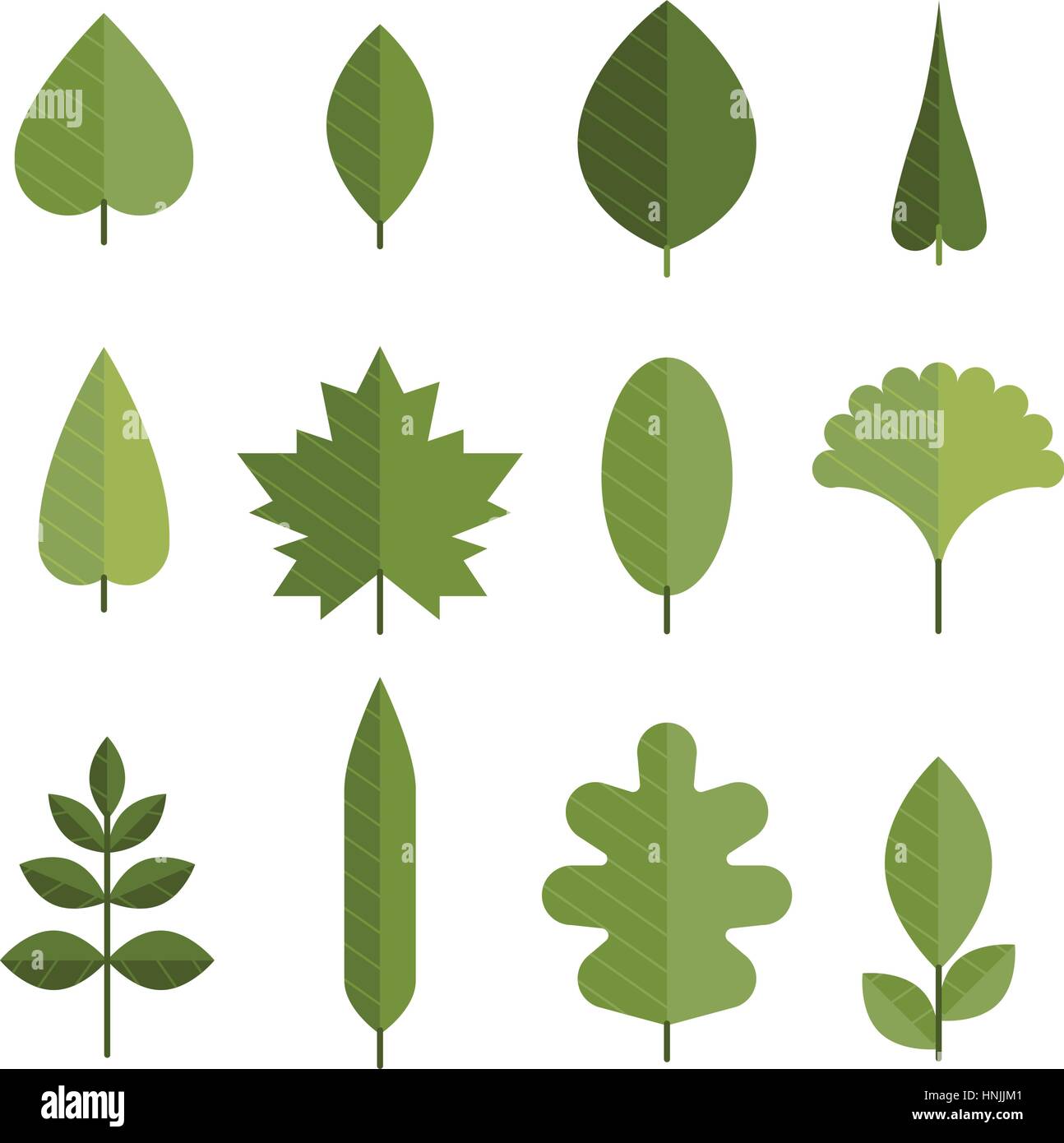 Set of flat green leaves. Different types of young leaves from trees. Design element for logo, web or print. Modern vector illustration. Stock Vector