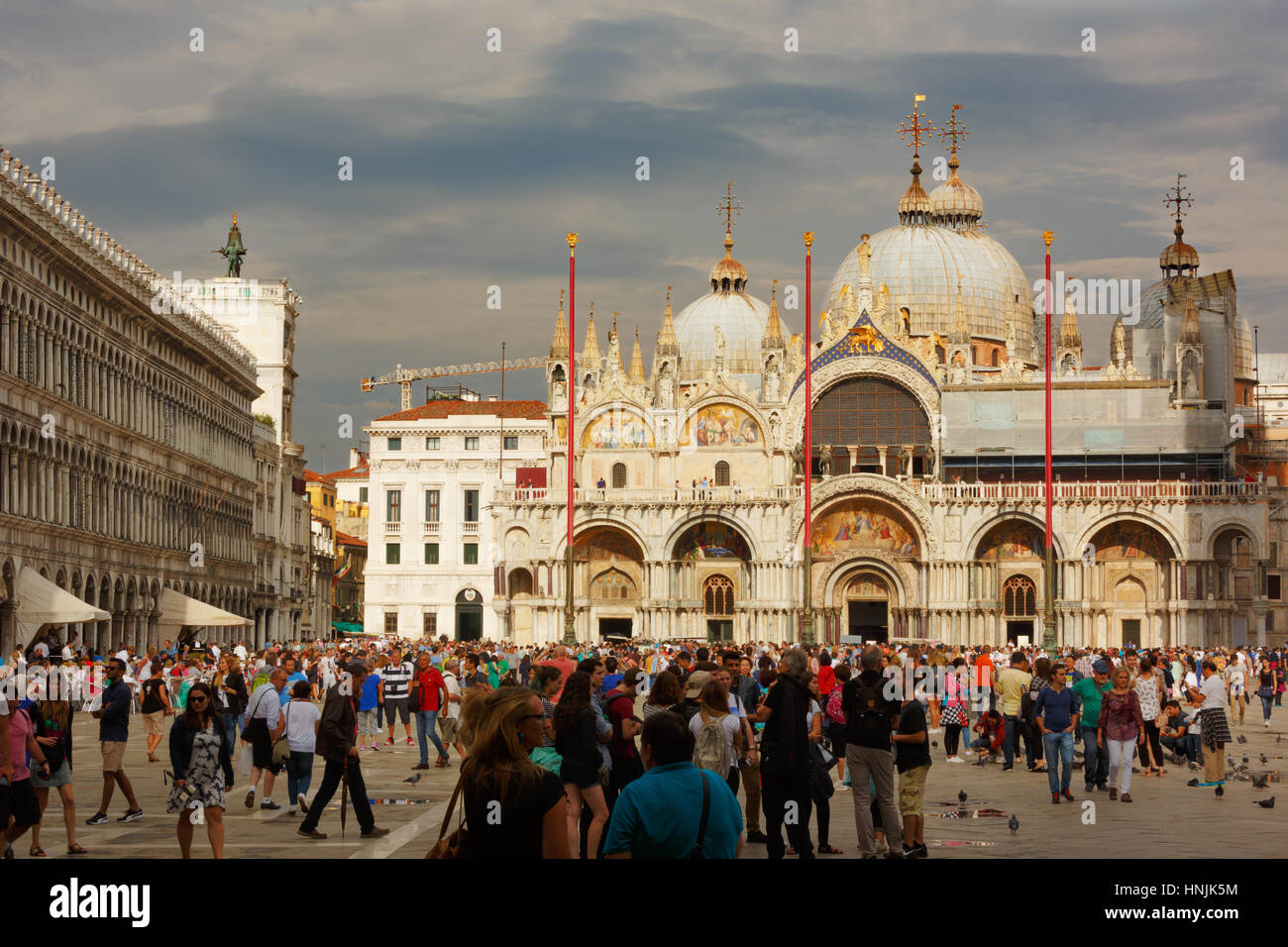 tourists visit San Marco square in Venice.They take pictures and selfie and enjoy with the pigeons. Stock Photo