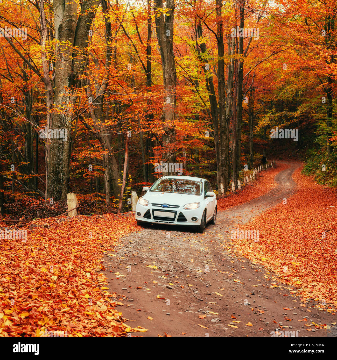car on a forest path. Beautiful road in mountains. Carpathian Stock