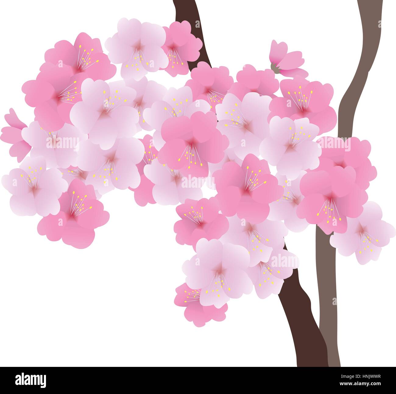 vector illustration of cherry blossom floral background Stock Vector ...