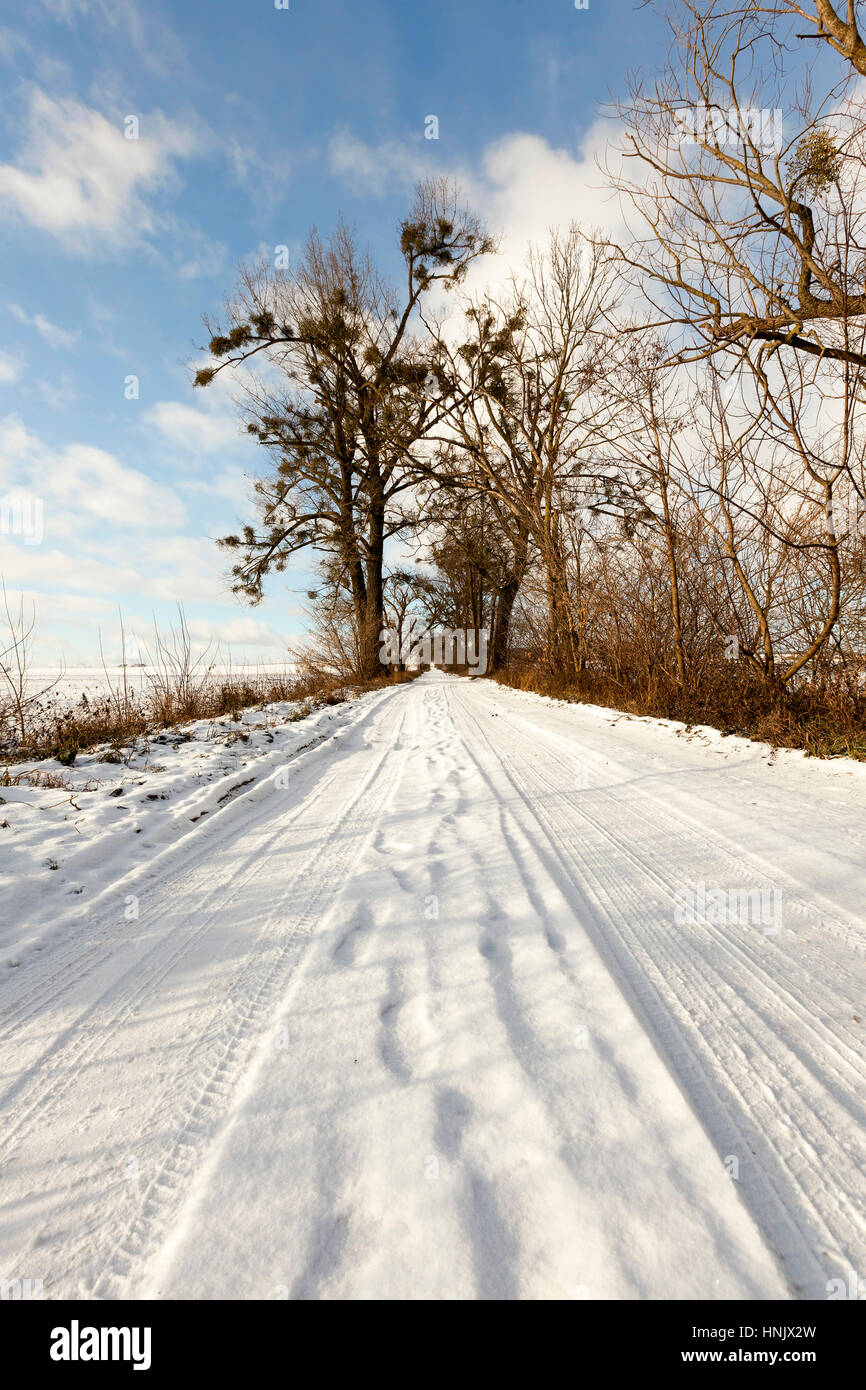 traces of the car on snow Stock Photo - Alamy