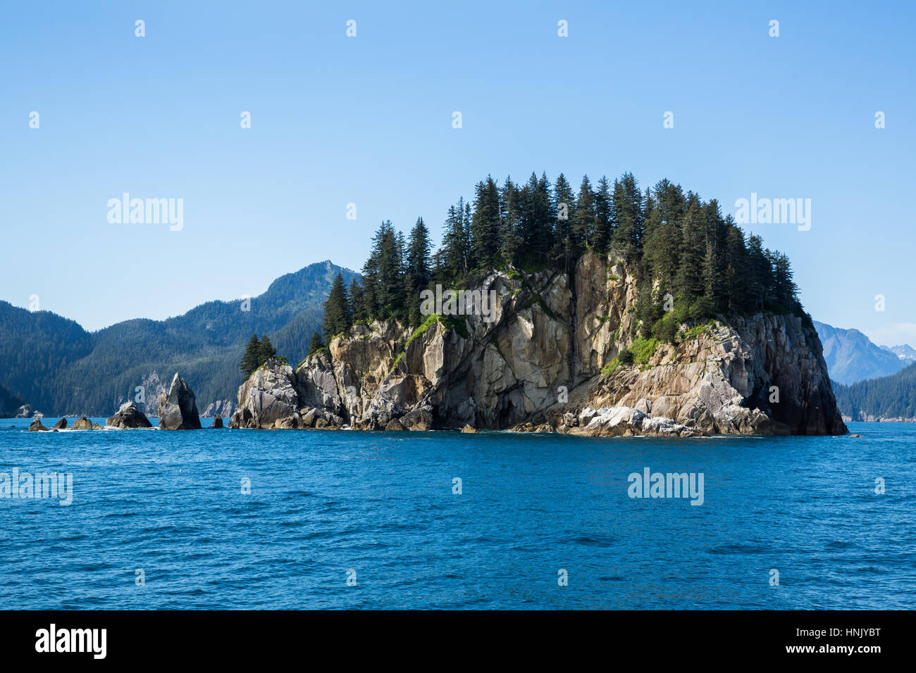 Small, steep, rocky island off the coast near Seward, Alaska. The island is covered on top with large evergreens and provides a refuge for many birds  Stock Photo