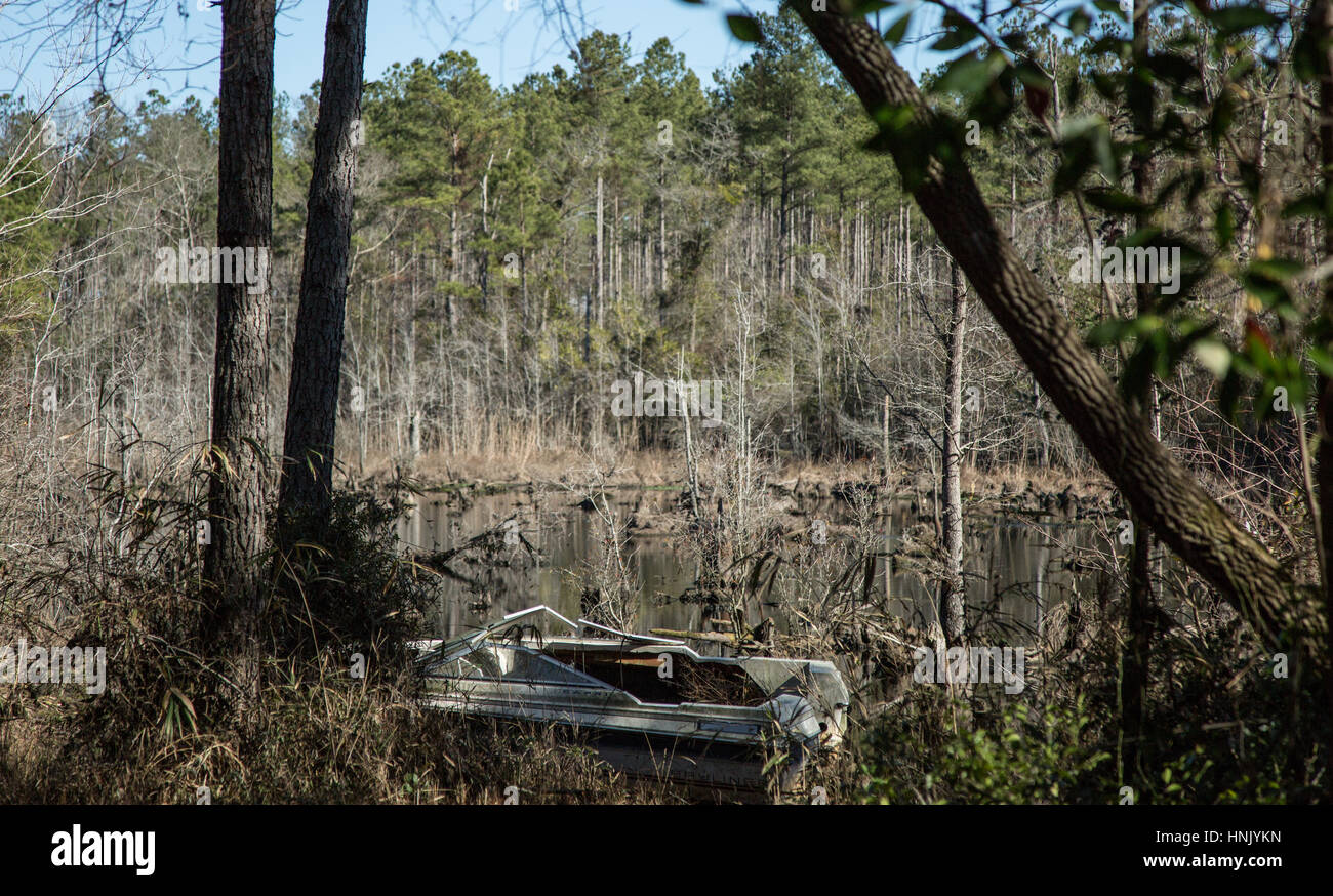 Swampland surrounds an abandoned boat in Autryville, NC. Stock Photo