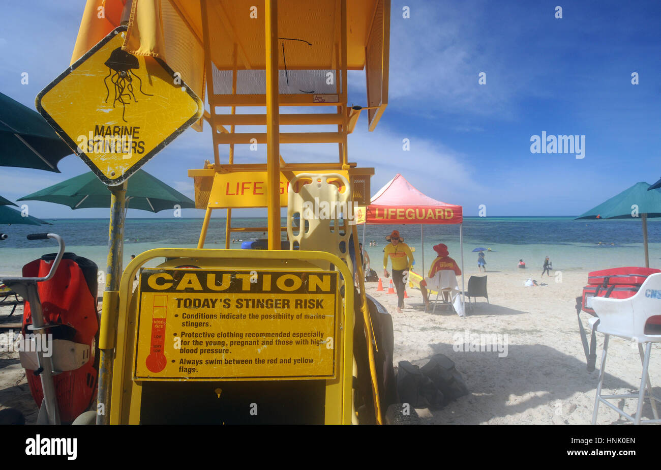 Signs warning of risk of marine stingers at lifesaver station, Green Island, Great Barrier Reef Marine Park, near Cairns, Queensland, Australia. No MR Stock Photo