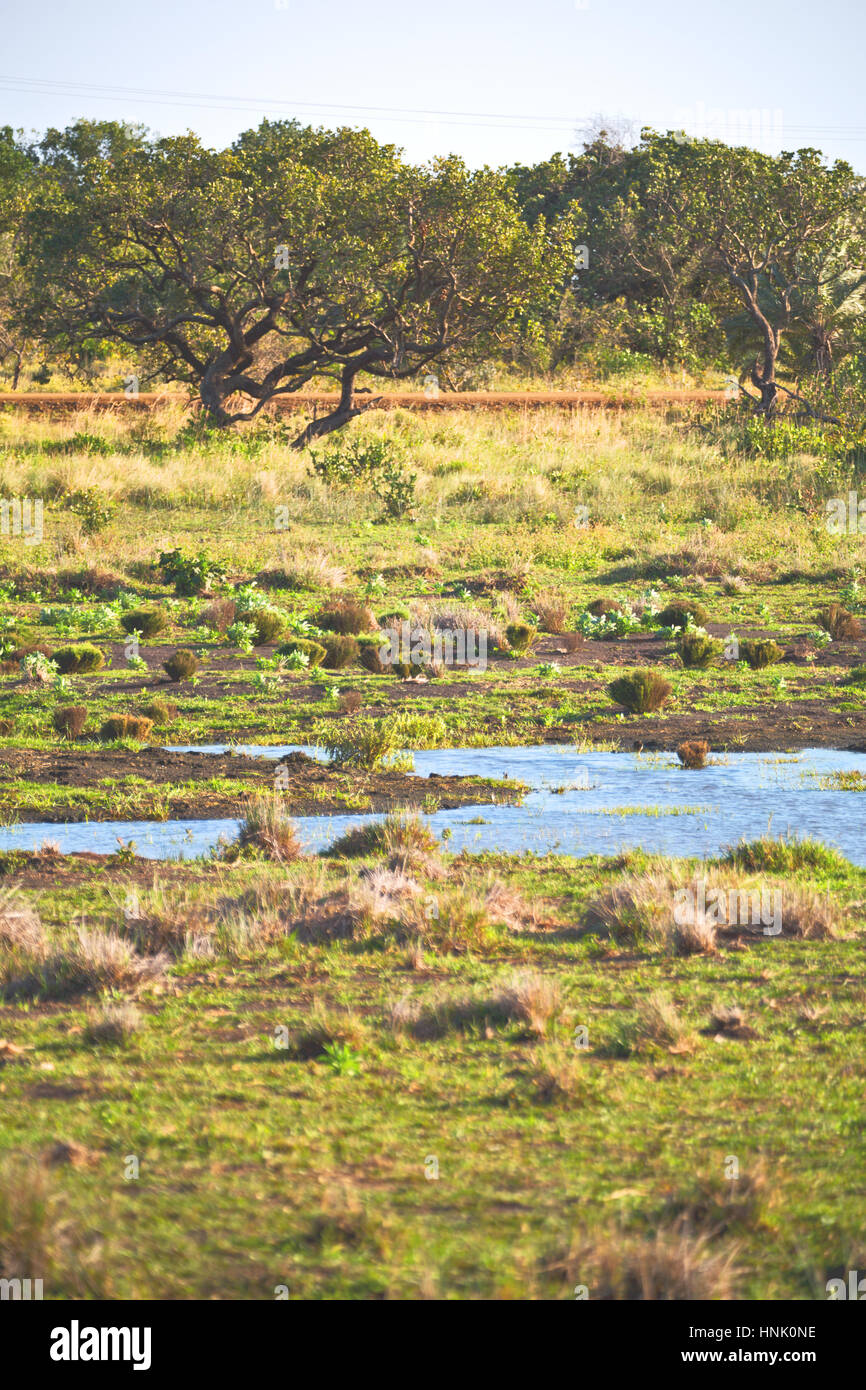 blur in south africa pond lake isimagaliso nature reserve and bush