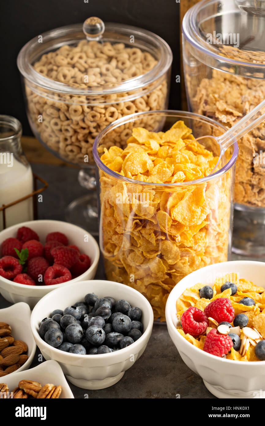 Breakfast cereal bar or buffet wih variety of cereals, fruit and nuts