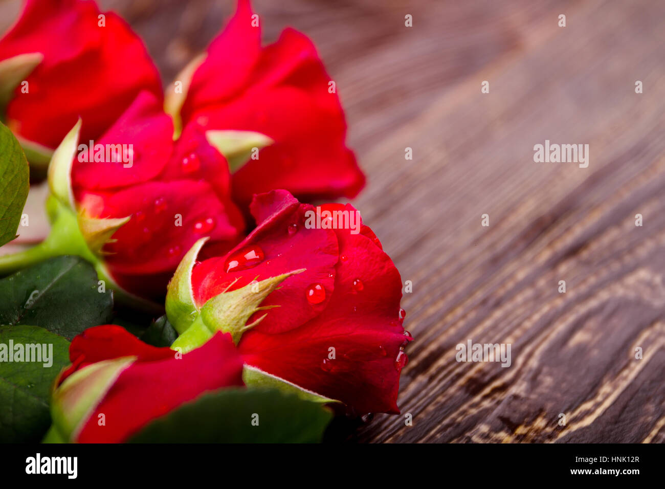 Water on roses Stock Photo Alamy