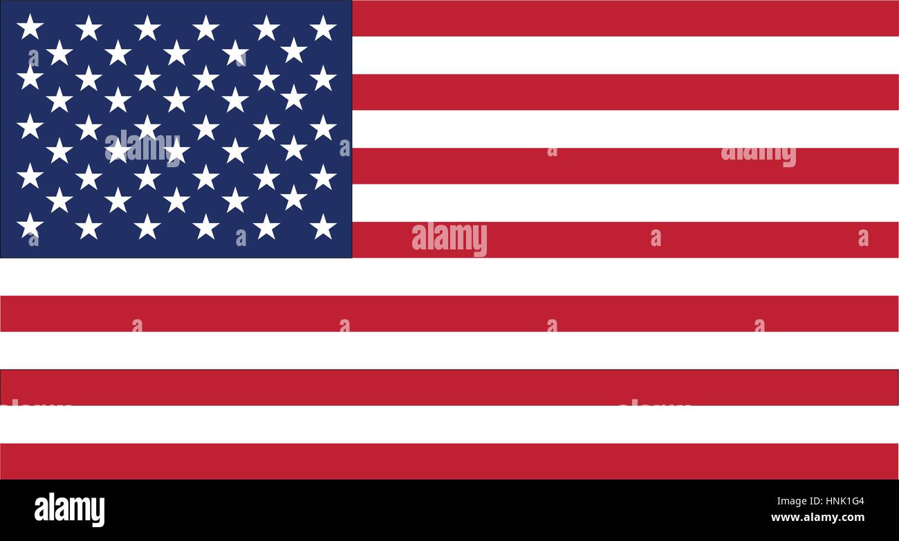 United States of America flag illustration vector Stock Vector