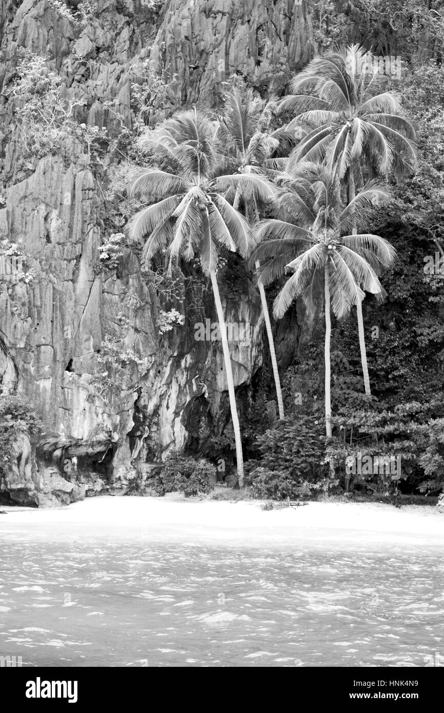 blur in philippines view from a boat of  palm cliff beach and rock from pacific ocean Stock Photo