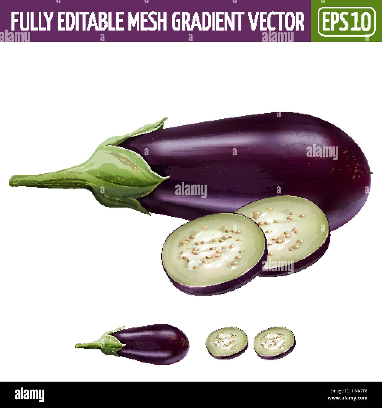 Eggplant on white background. Vector illustration Stock Vector Image